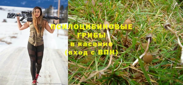 шишки Алзамай