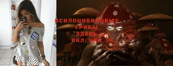шишки Алзамай