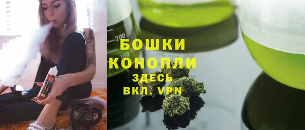 шишки Алзамай