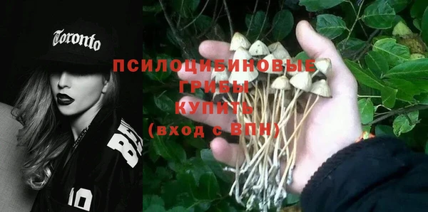 соль курить ск Абаза